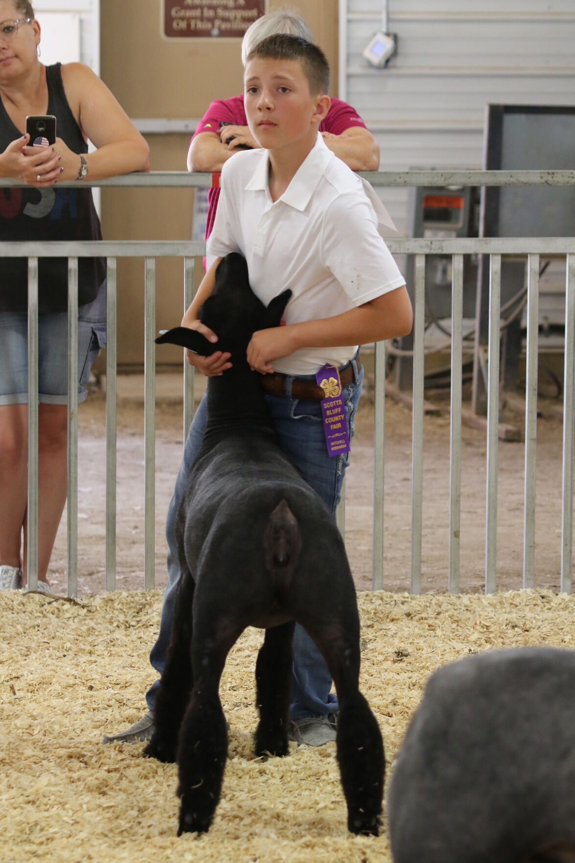 PHOTO: Sheep Show at Scotts Bluff County Fair